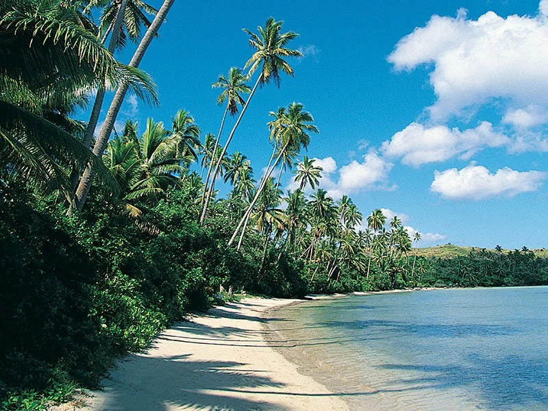 Galápagos marine wildlife — accessible tour